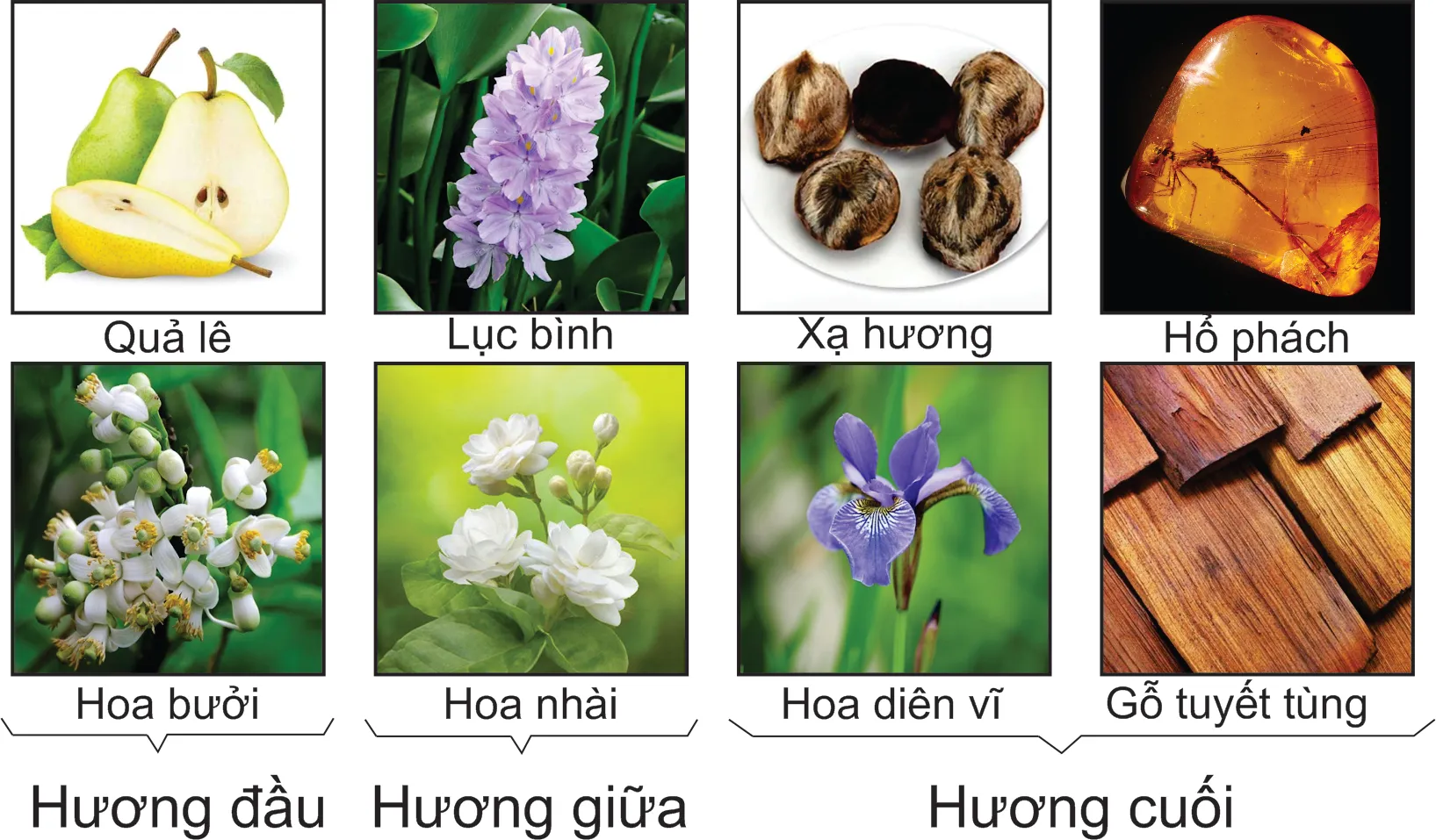 661e03c4700e5efa724bfc312d89df46-jpg_2200x2200q80-jpg_