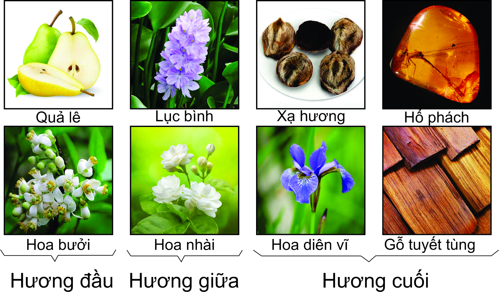 661e03c4700e5efa724bfc312d89df46