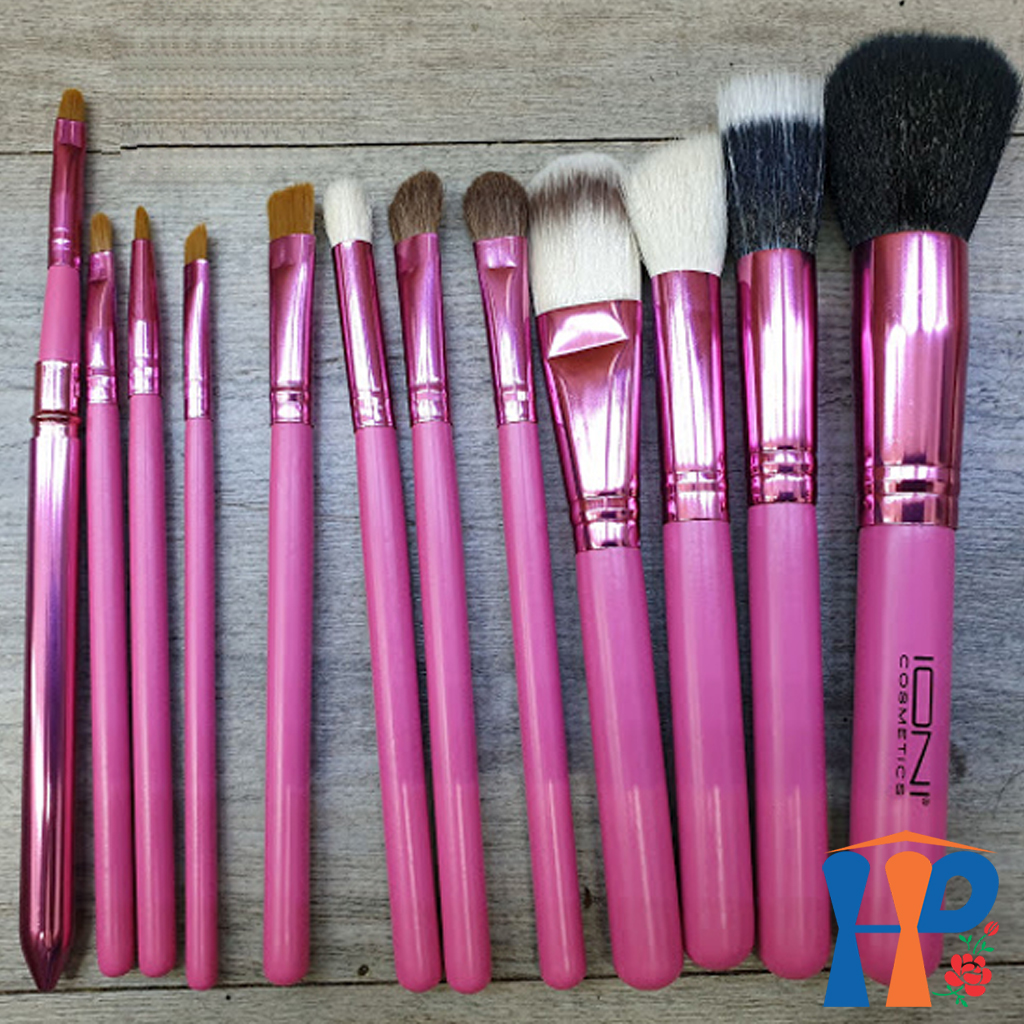 Bộ cọ trang điểm IONI Set of Make Up brushes 12pcs (Made in USA)