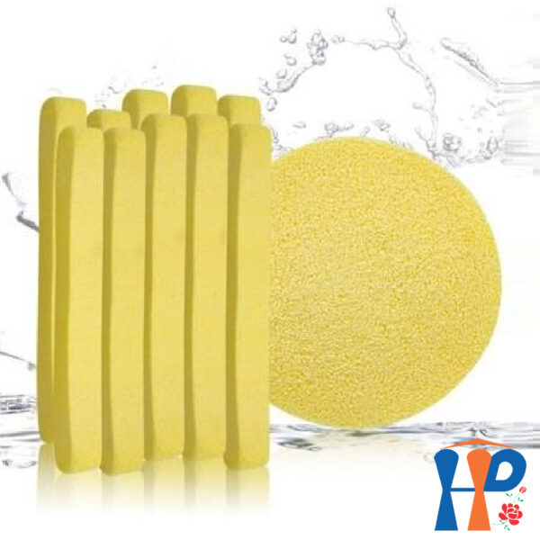 Bọt biển nén NS Organic Compressed Sponge (6 pcs / túi)