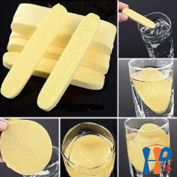 Bọt biển nén NS Organic Compressed Sponge (6 pcs / túi)