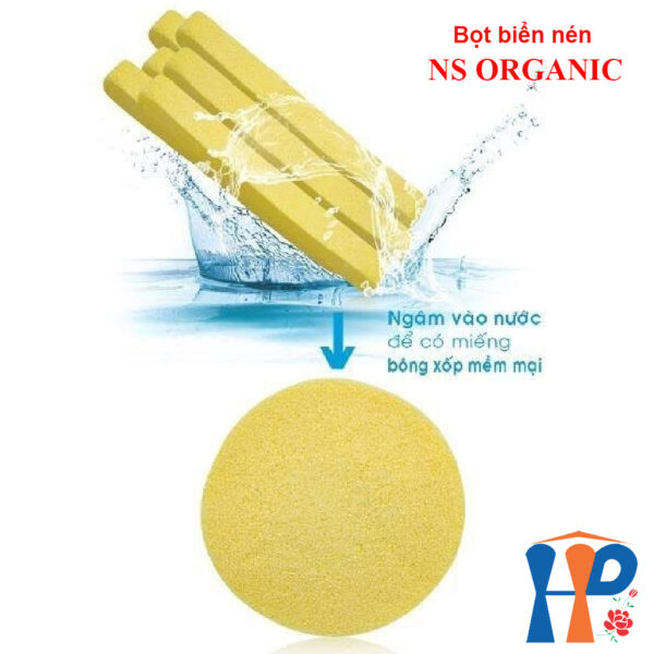 Bọt biển nén NS Organic Compressed Sponge (6 pcs / túi)