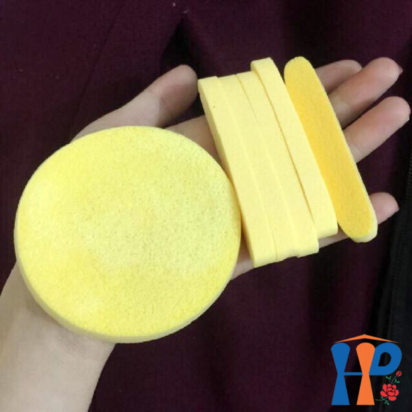 Bọt biển nén NS Organic Compressed Sponge (6 pcs / túi)