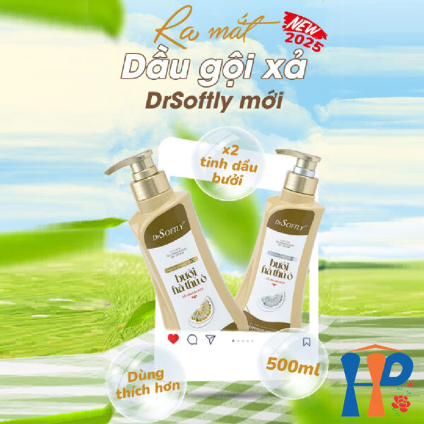Cặp gội xả thảo dược Bưởi Hà Thủ Ô DrSoftly Grapefruit Organic Shampoo & Conditioner 500ml