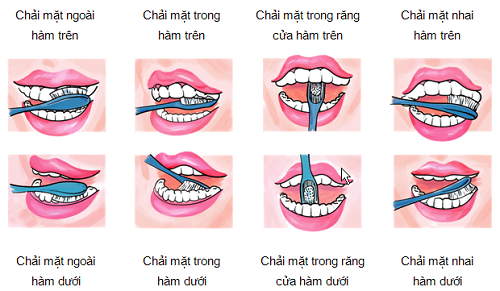 huong-dan-cach-danh-rang-dung-cach