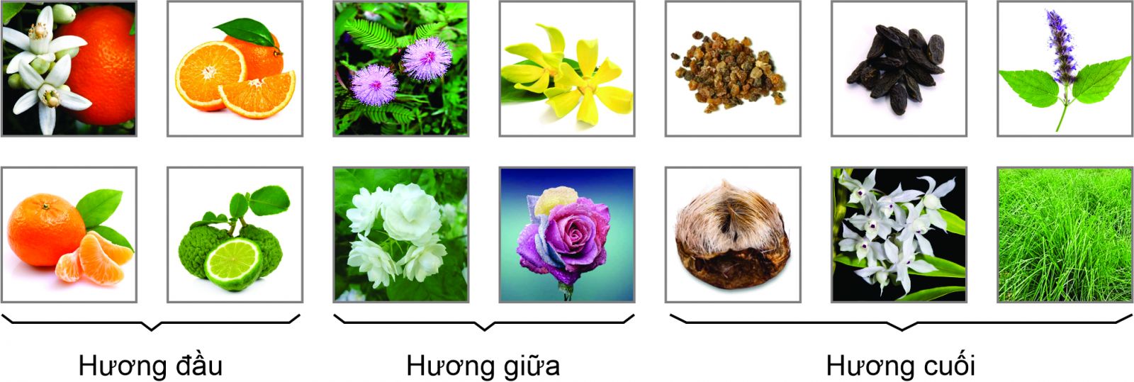 huong-nuoc-hoa-circle-cam