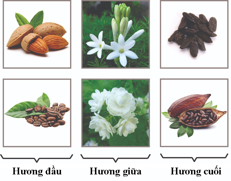 huong-nuoc-hoa-circle-goodgirl-6b4ff56a-645a-4e7d-bcc4-fc476398b72c