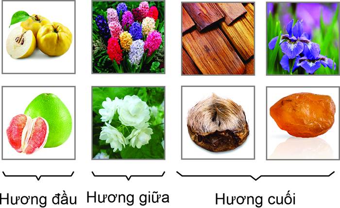 huong-nuoc-hoa-circle-hong
