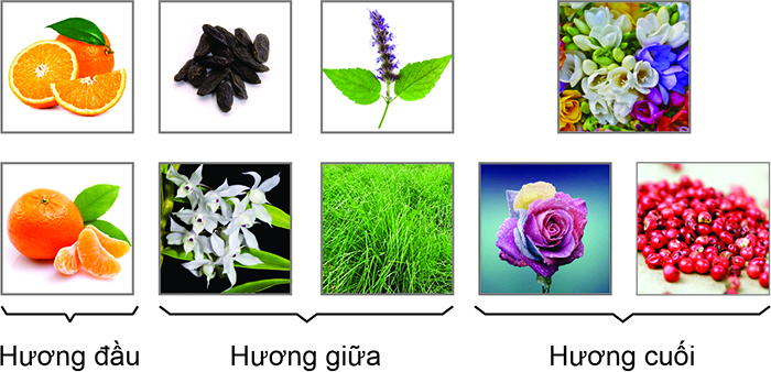 huong-nuoc-hoa-circle-vang