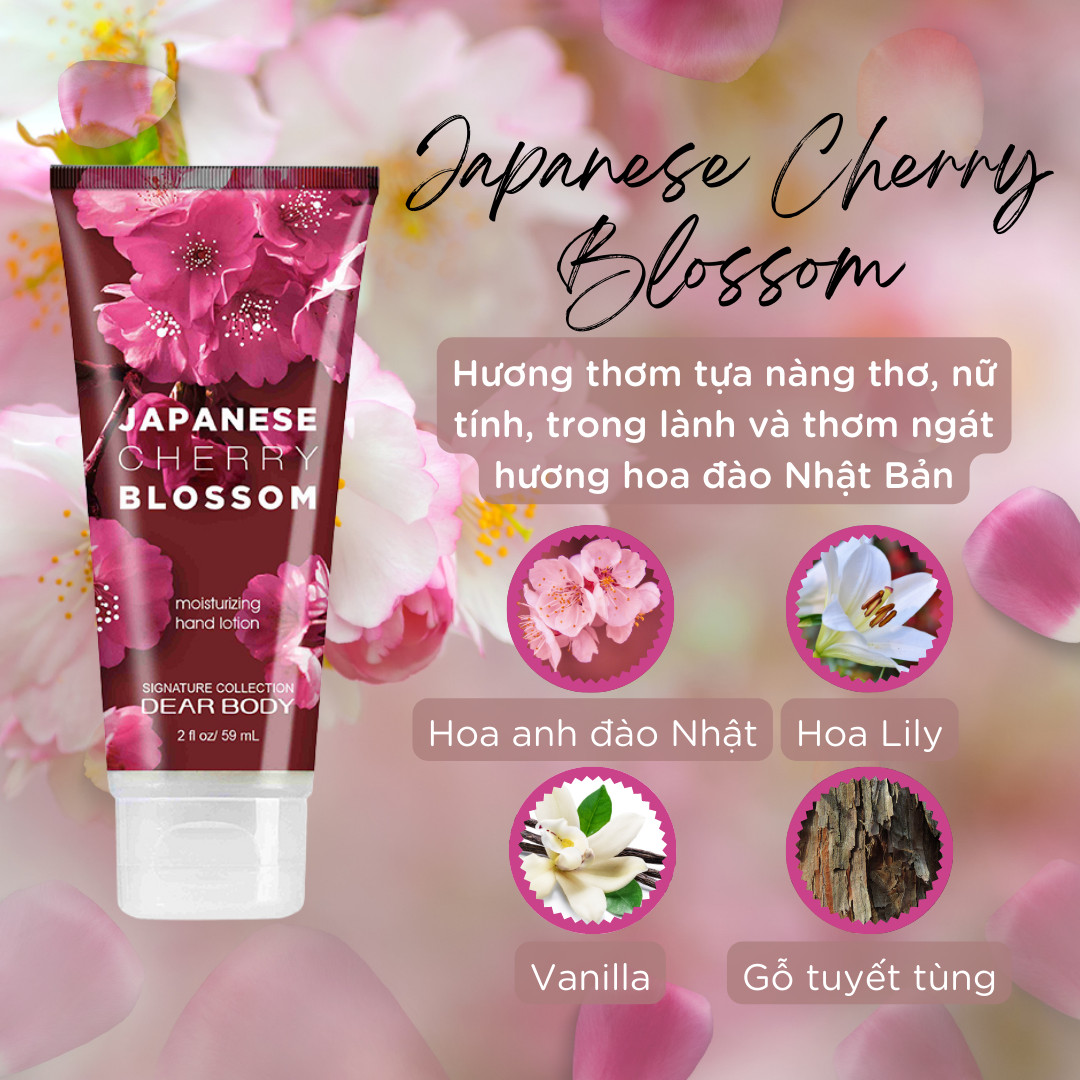 kem-duong-da-tay-dear-body-japanese-cherry-blossom