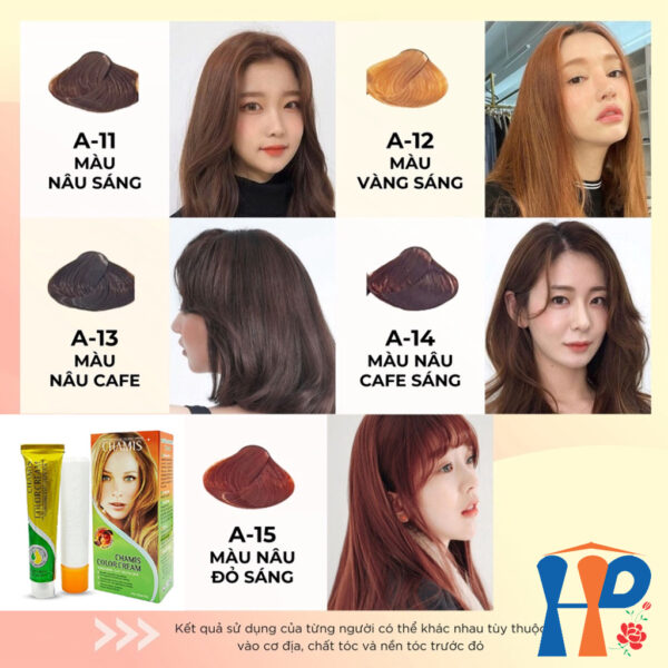 Kem nhuộm dưỡng tóc thảo mộc CHAMIS Colour Cream 60ml