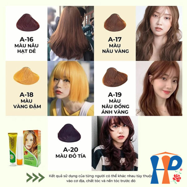 Kem nhuộm dưỡng tóc thảo mộc CHAMIS Colour Cream 60ml