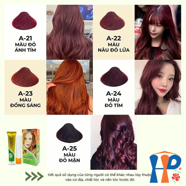 Kem nhuộm dưỡng tóc thảo mộc CHAMIS Colour Cream 60ml