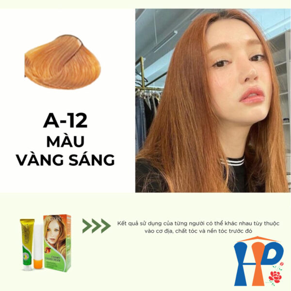 Kem nhuộm dưỡng tóc thảo mộc CHAMIS Colour Cream 60ml