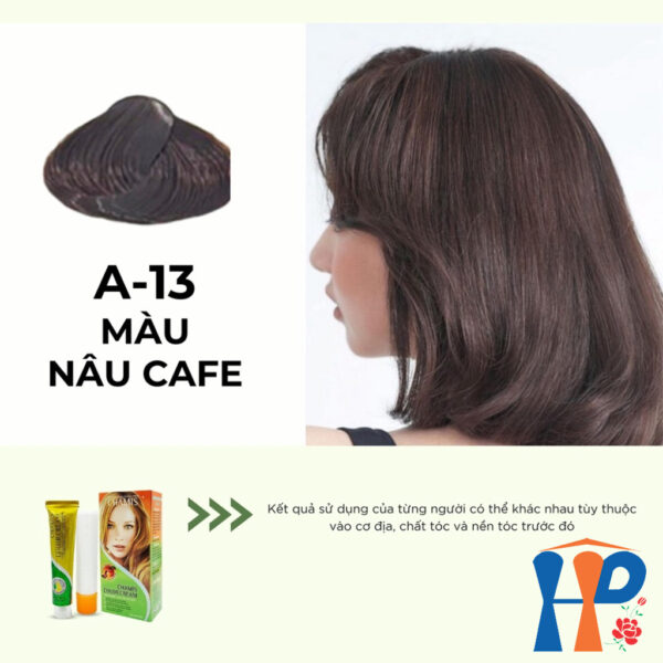 Kem nhuộm dưỡng tóc thảo mộc CHAMIS Colour Cream 60ml