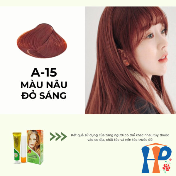 Kem nhuộm dưỡng tóc thảo mộc CHAMIS Colour Cream 60ml