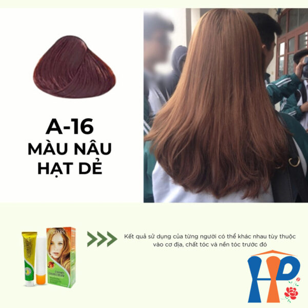 Kem nhuộm dưỡng tóc thảo mộc CHAMIS Colour Cream 60ml