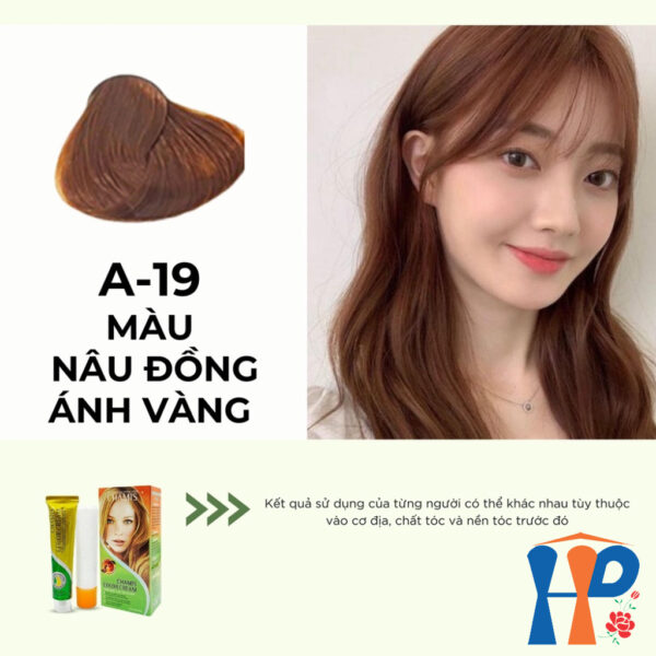 Kem nhuộm dưỡng tóc thảo mộc CHAMIS Colour Cream 60ml