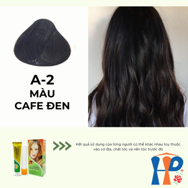 Kem nhuộm dưỡng tóc thảo mộc CHAMIS Colour Cream 60ml