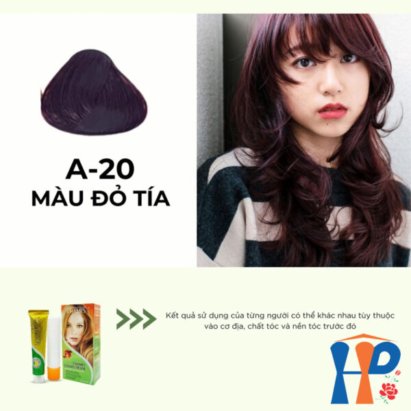 Kem nhuộm dưỡng tóc thảo mộc CHAMIS Colour Cream 60ml