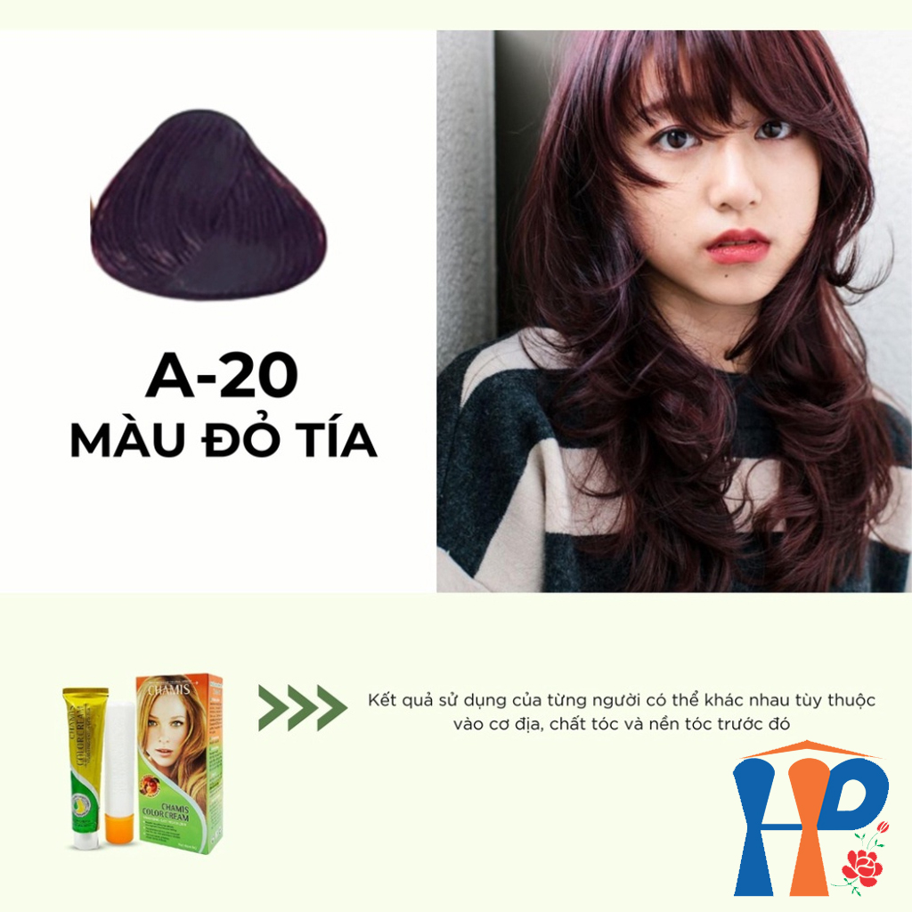 Kem nhuộm dưỡng tóc thảo mộc CHAMIS Colour Cream 60ml