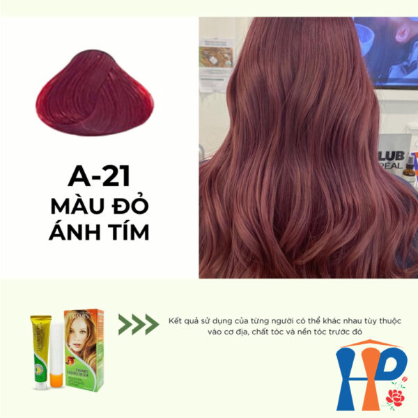 Kem nhuộm dưỡng tóc thảo mộc CHAMIS Colour Cream 60ml