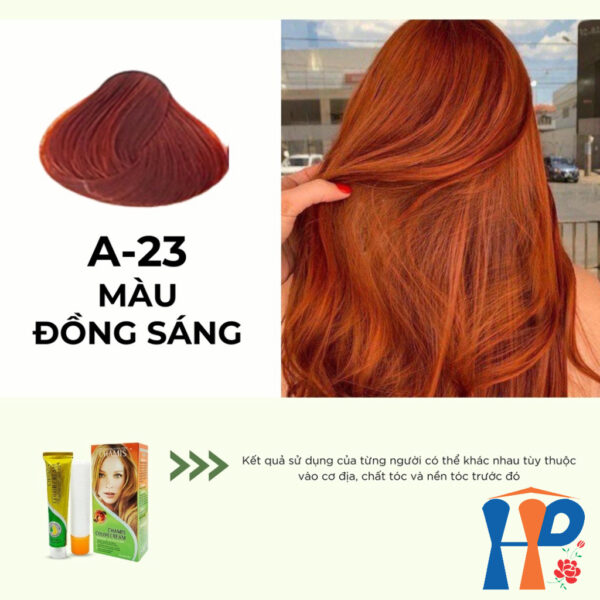 Kem nhuộm dưỡng tóc thảo mộc CHAMIS Colour Cream 60ml