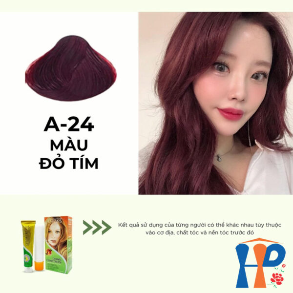 Kem nhuộm dưỡng tóc thảo mộc CHAMIS Colour Cream 60ml