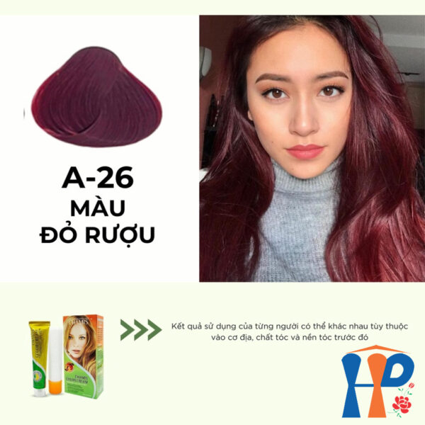 Kem nhuộm dưỡng tóc thảo mộc CHAMIS Colour Cream 60ml