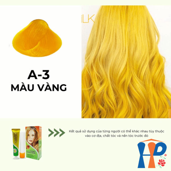 Kem nhuộm dưỡng tóc thảo mộc CHAMIS Colour Cream 60ml