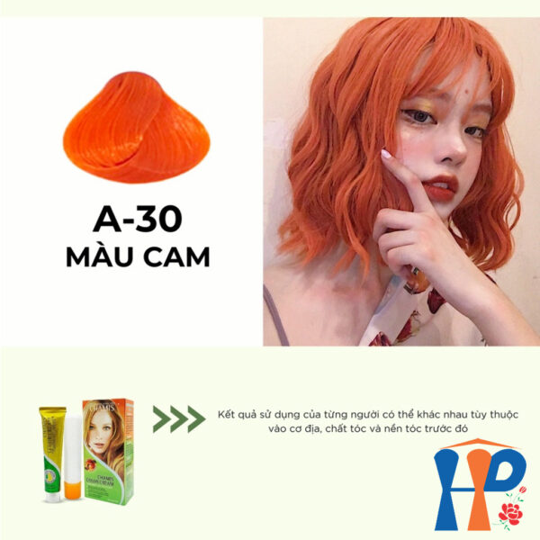 Kem nhuộm dưỡng tóc thảo mộc CHAMIS Colour Cream 60ml