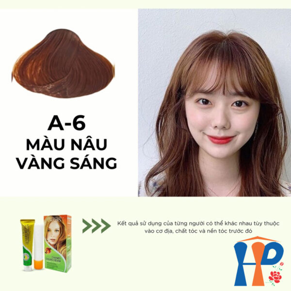 Kem nhuộm dưỡng tóc thảo mộc CHAMIS Colour Cream 60ml