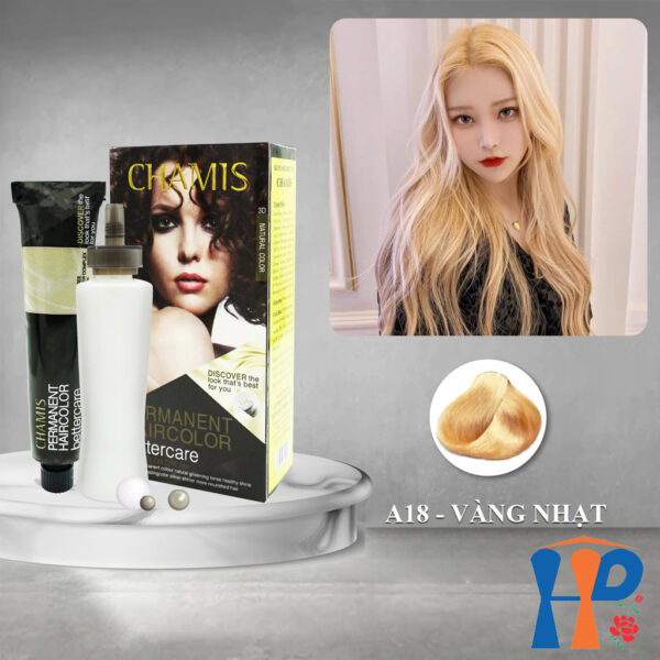 Kem nhuộm tóc thực vật Chamis Permanent Hair Colour 100ml