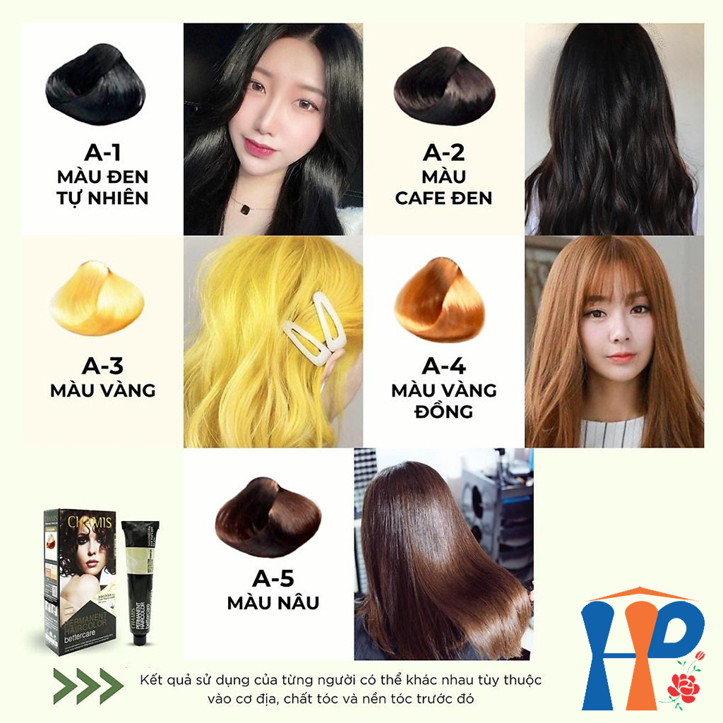 Kem nhuộm tóc thực vật Chamis Permanent Hair Colour 100ml