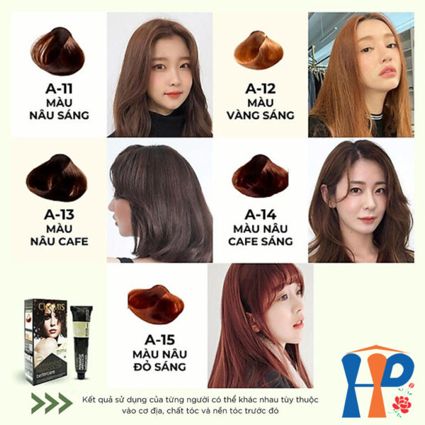 Kem nhuộm tóc thực vật Chamis Permanent Hair Colour 100ml