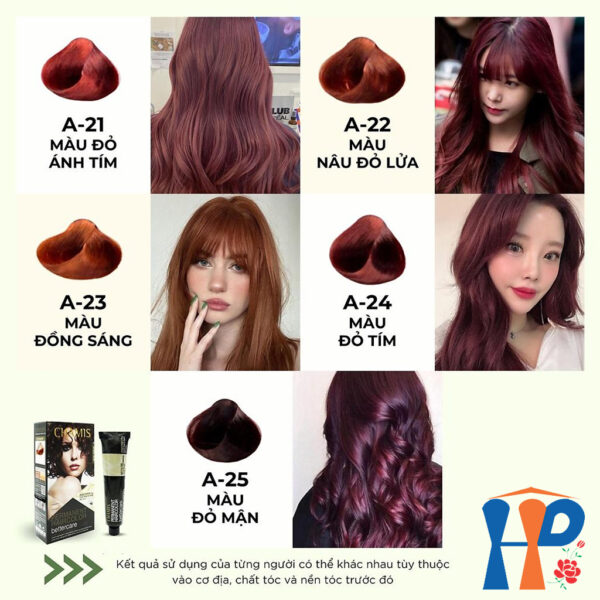 Kem nhuộm tóc thực vật Chamis Permanent Hair Colour 100ml