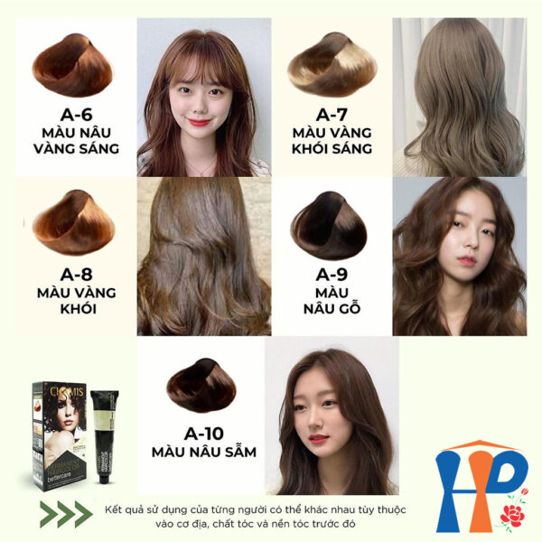 Kem nhuộm tóc thực vật Chamis Permanent Hair Colour 100ml
