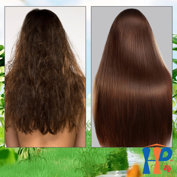 Kem ủ tóc hương sake TopCharm Hydrolyzed Collagen Hair Mask Cream 500ml