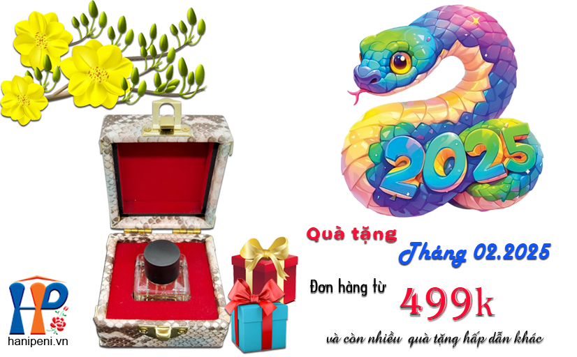 khuyen-mai-02-2025-1