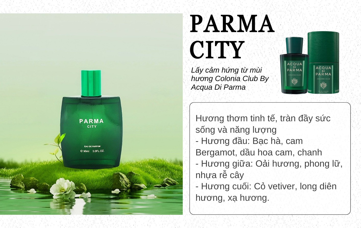 nuoc-hoa-nam-parma-city-90ml-thanh-phan