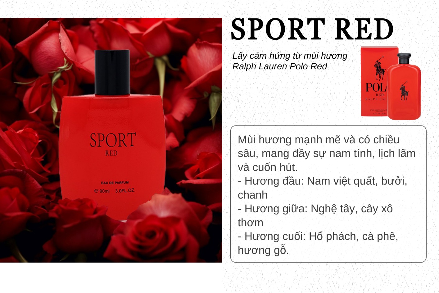 nuoc-hoa-nam-sport-red-90ml-thanh-phan