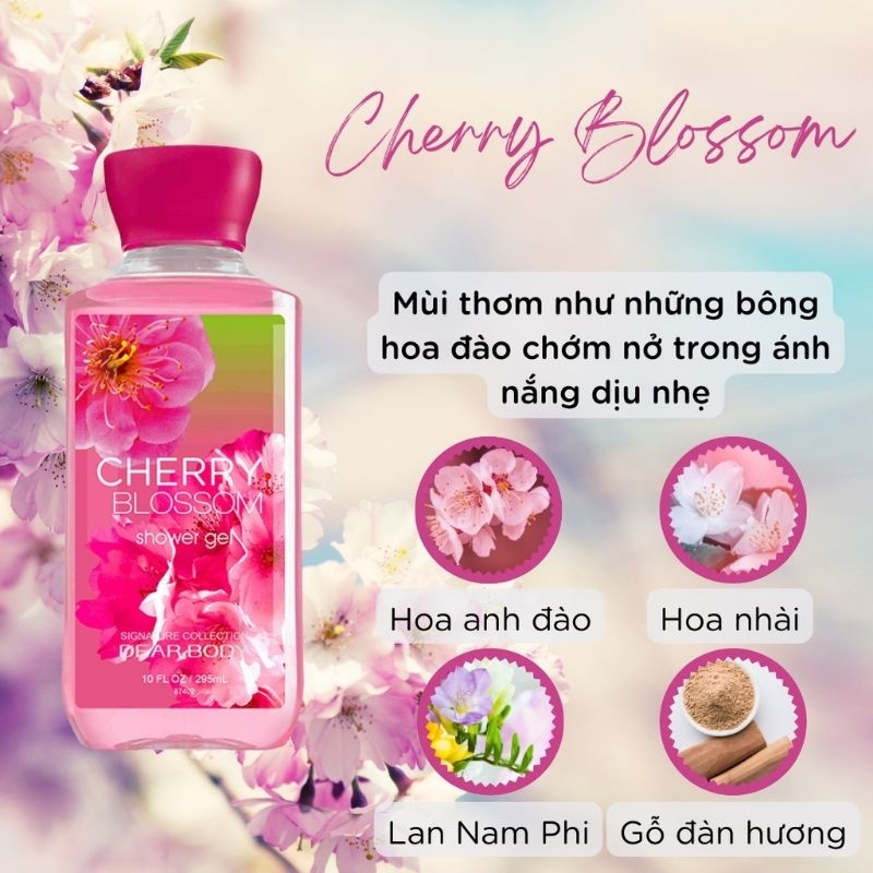 sua-tam-dear-body-cherry-blossom-295ml-1