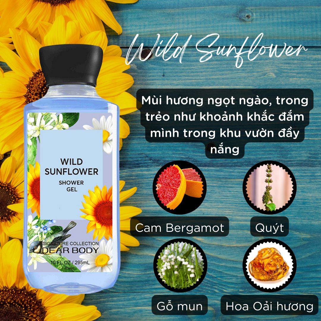 sua-tam-dear-body-wild-sunflower
