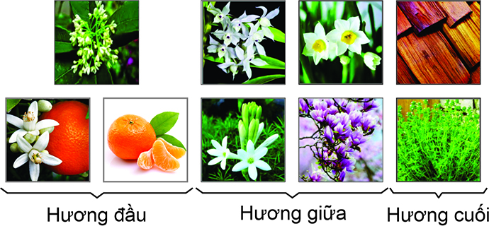 thanh-phan-nuoc-hoa-co2-fire-ice