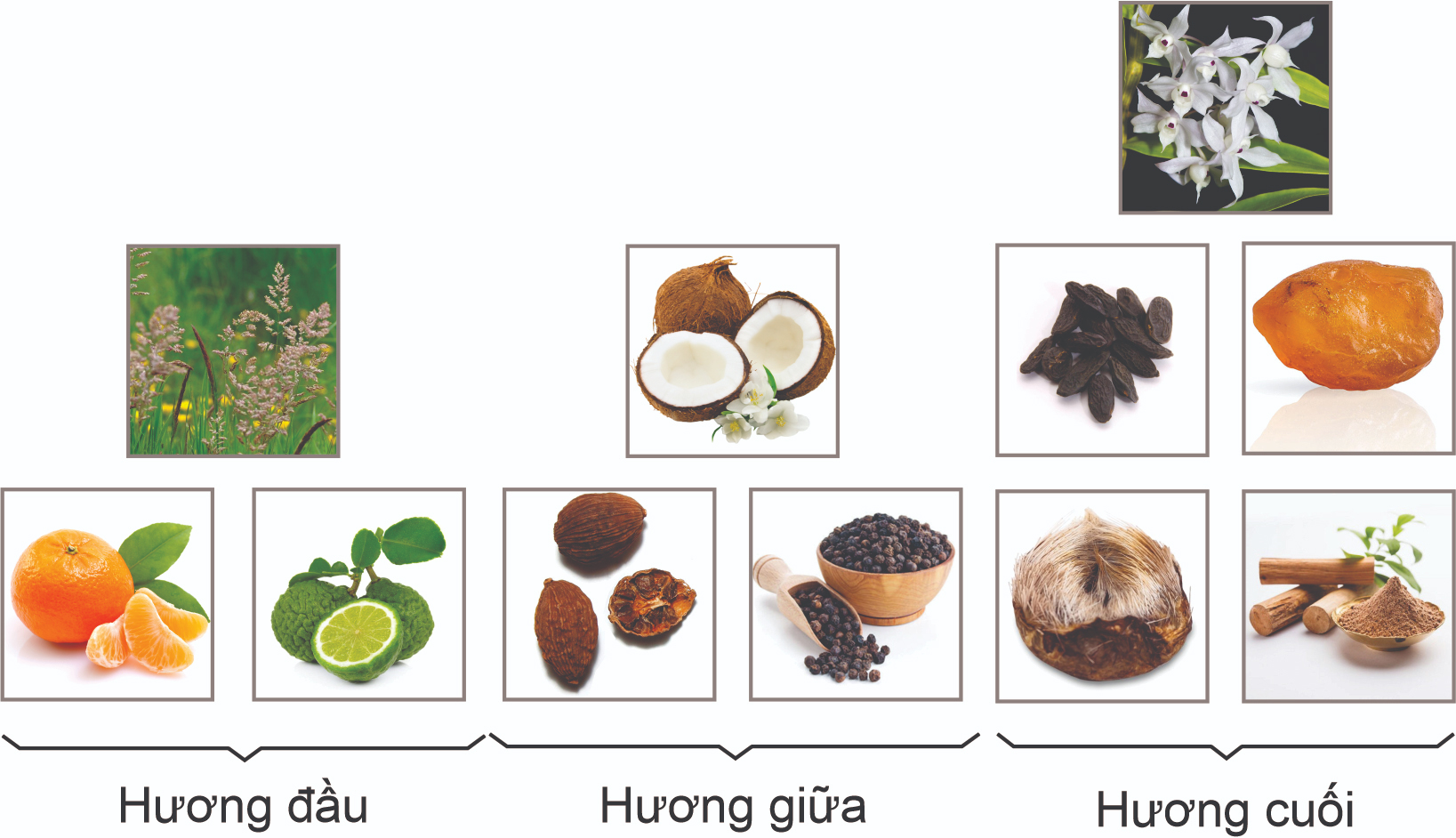thanh-phan-nuoc-hoa-co2-formen