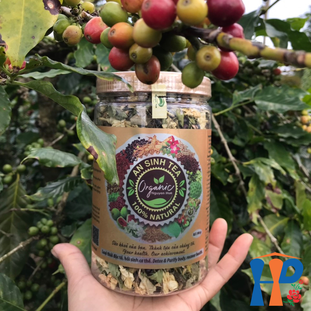 Trà An Sinh Organic Tea 100% Natural 500gr
