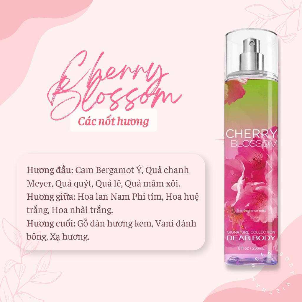 xit-thom-toan-than-cherry-blossom-fine-fragance-body-mist-236ml-2
